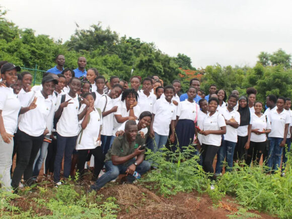 Growing Green: Africa4STEM’s Environmental Initiatives for a Sustainable Future